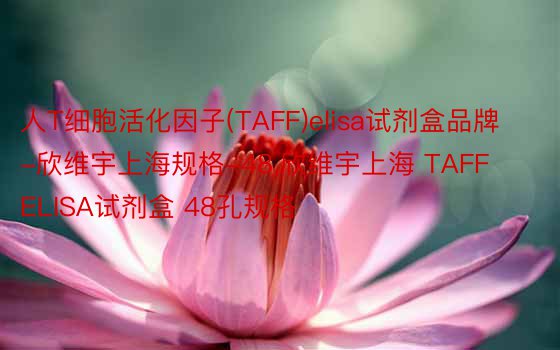 人T细胞活化因子(TAFF)elisa试剂盒品牌-欣维宇上海规格-48，欣维宇上海 TAFF ELISA试剂盒 48孔规格